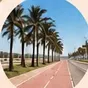 Orla com palmeiras e ciclovia em Praia Grande
